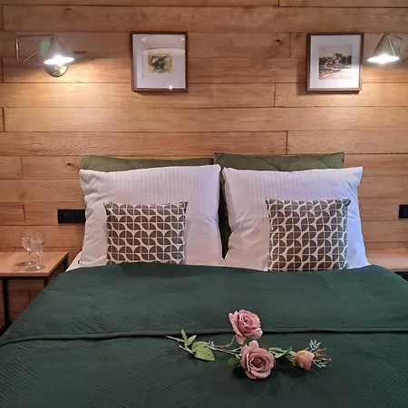 Dk Hotelove アパート ギジツコ